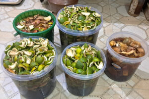 Bio Enzyme Liquid Preparing Method (4)